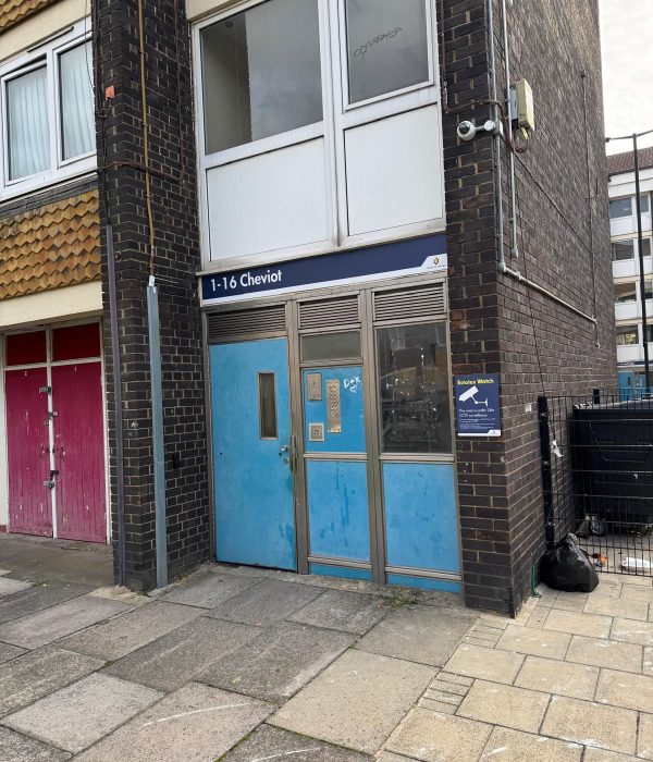 WhatsApp Image 2026-02-26 at 10.40.28 PM